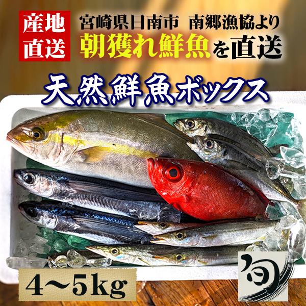 旬の鮮魚ボックス
