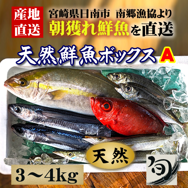旬の鮮魚ボックス