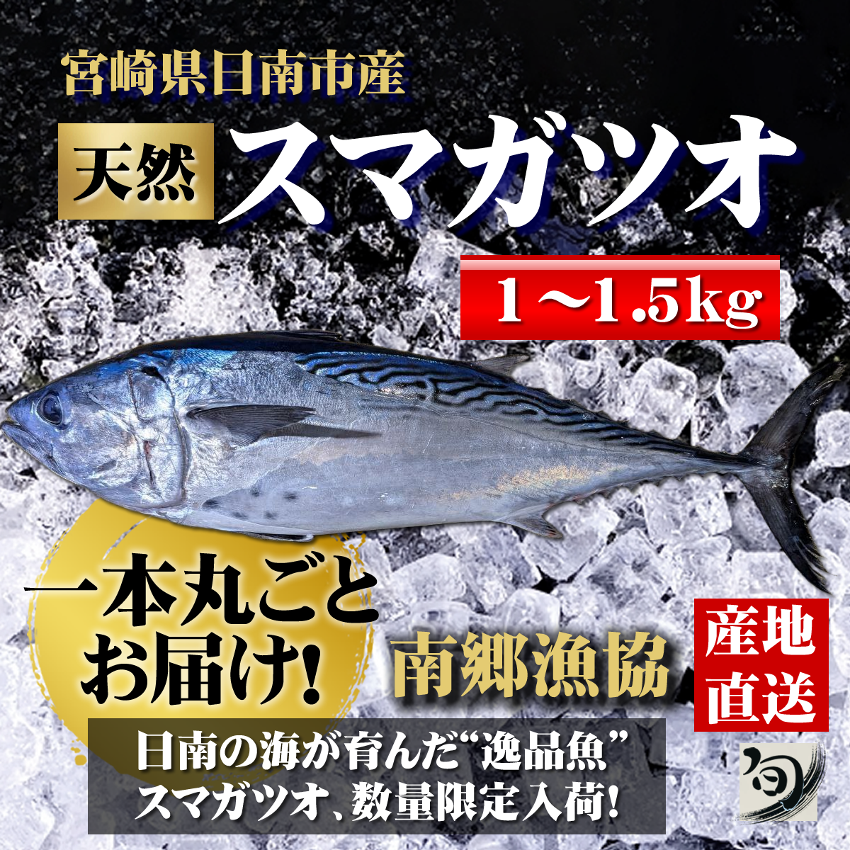 スマガツオ 1本