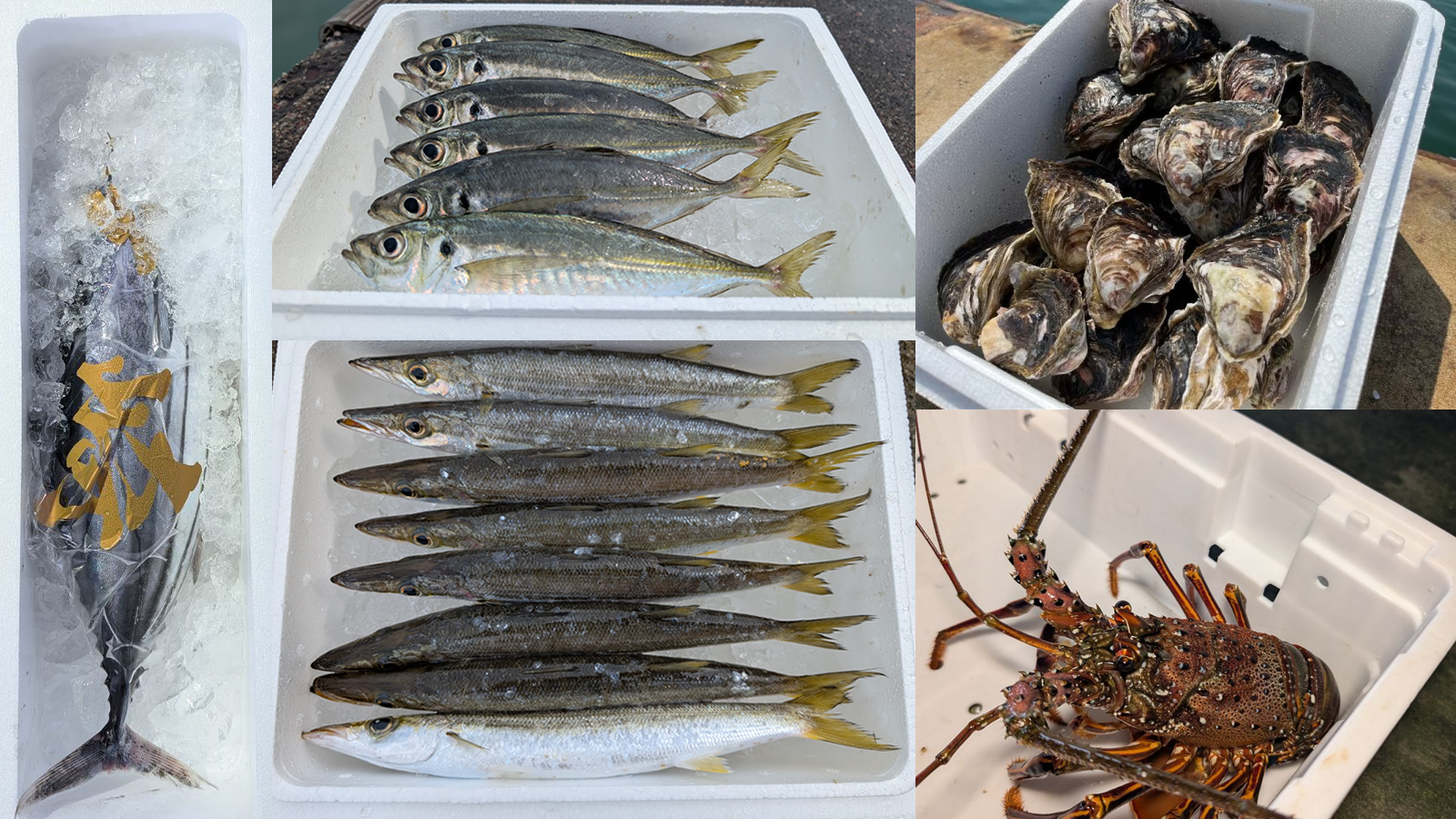 発泡スチロール箱に氷等を敷き詰めた梱包